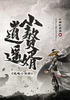 逍遥赘婿111